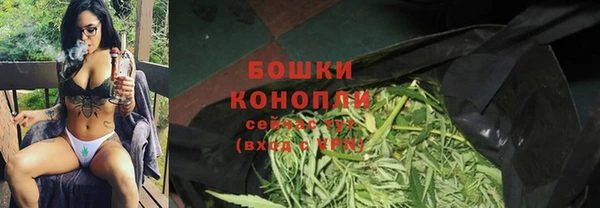 ALPHA PVP Дмитриев