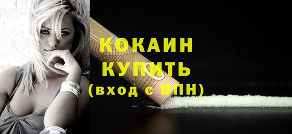 соль ск Дмитров
