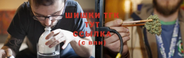 соль ск Дмитров