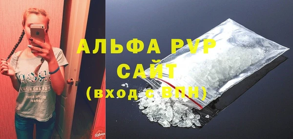 ешки Билибино